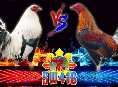 Online Sabong Sw418