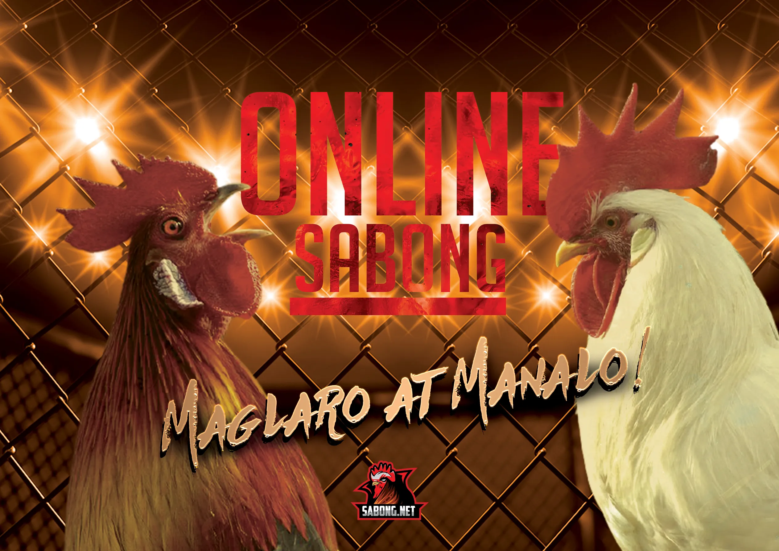 Shifthound.Com - 6z3dhhz