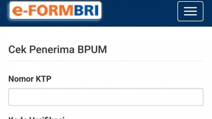 E-form Bri Cek Nik