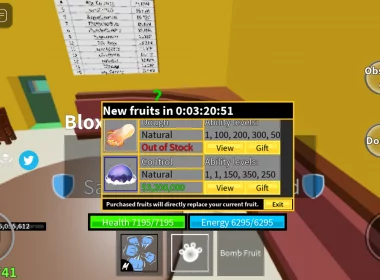 Blox Fruit Stock