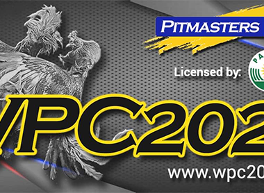 Wpc2028 Live Dashboard