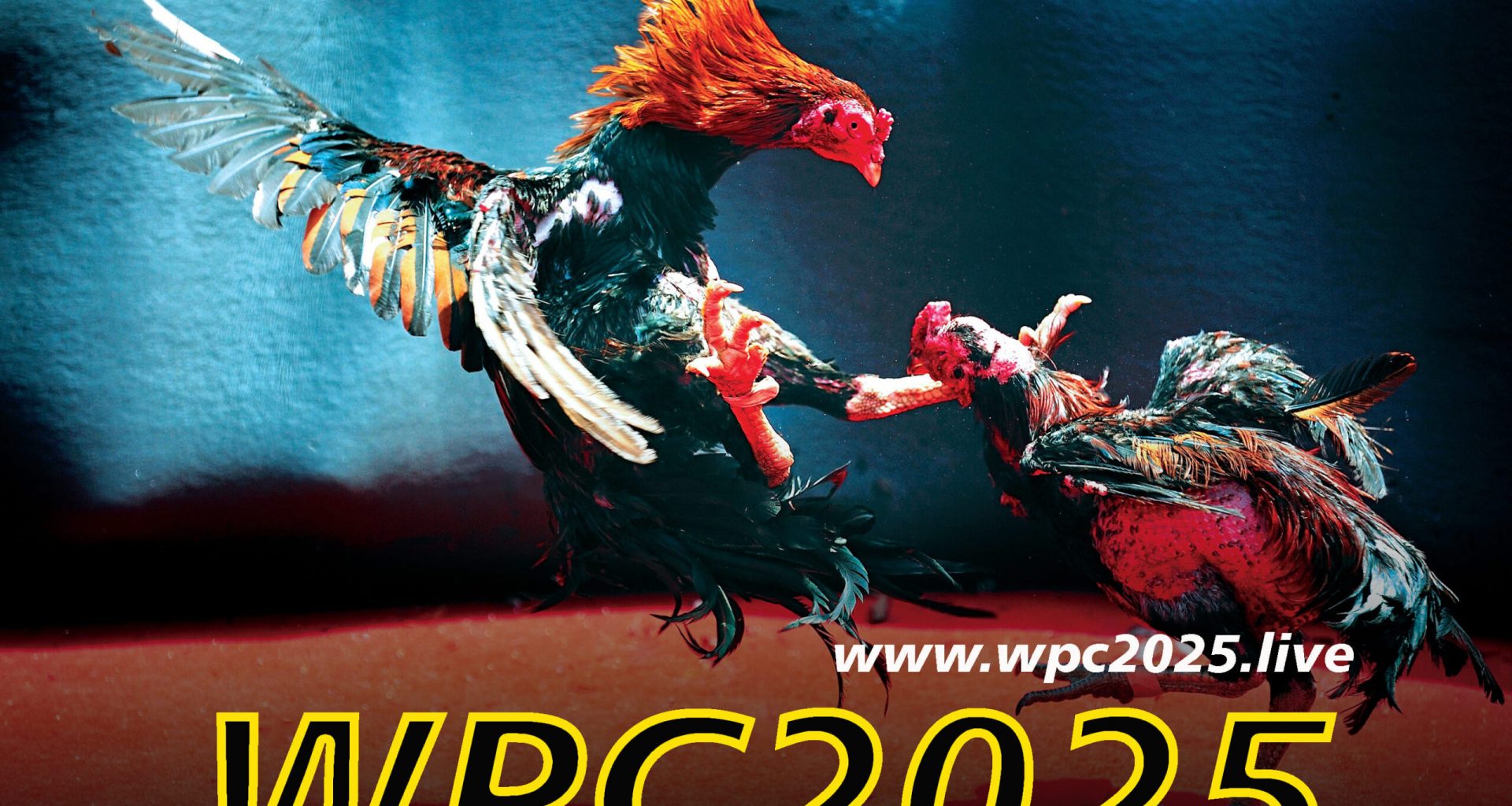 Wpc 2025 Live Dashboard
