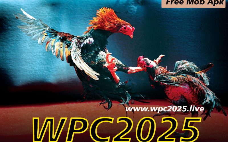 Wpc 2025 Live Dashboard