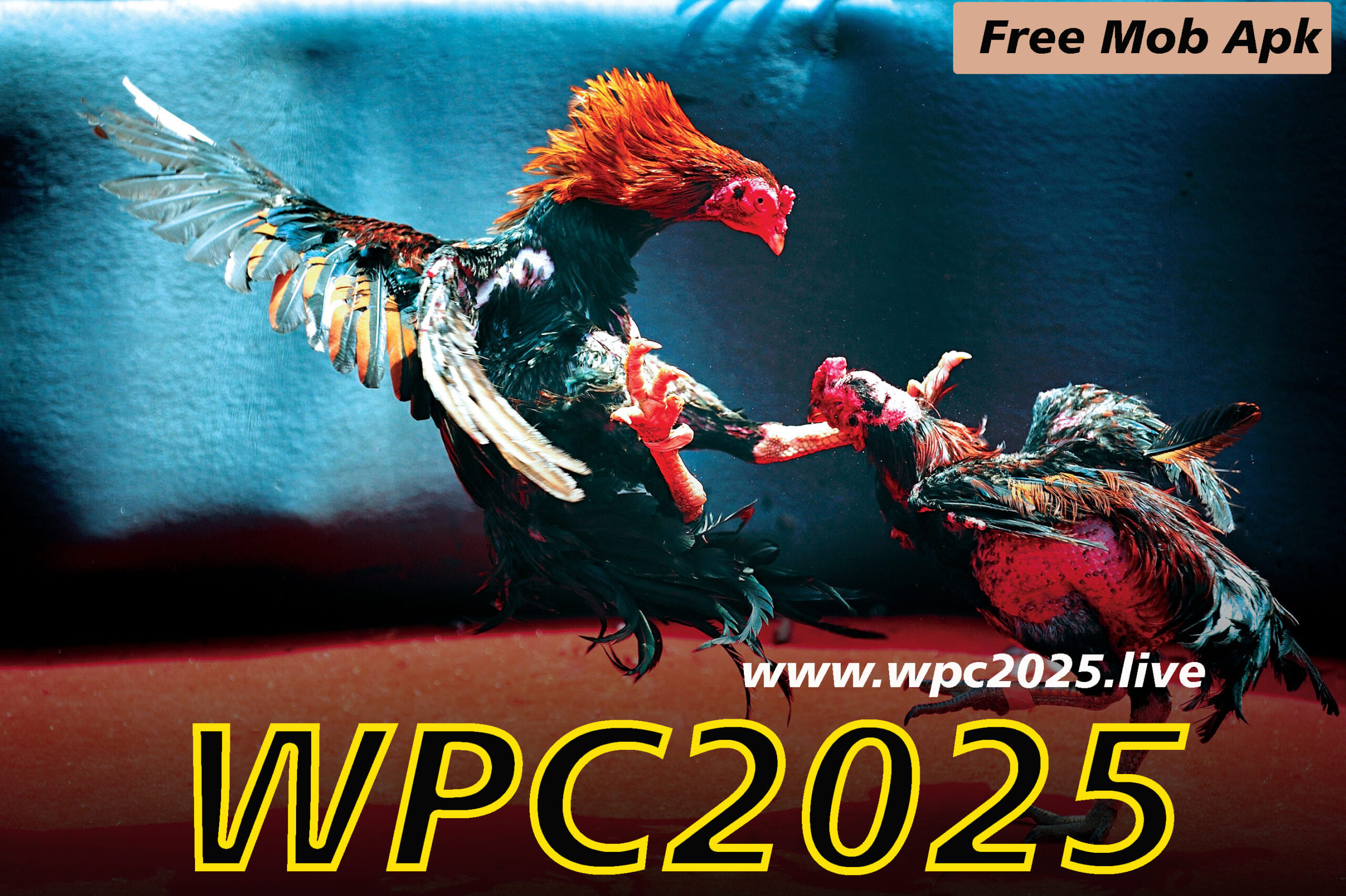 Wpc 2025 Live Dashboard Blogote