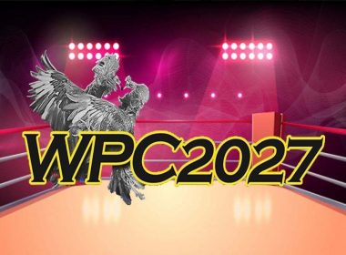 Wpc 2027 Live Dashboard Login