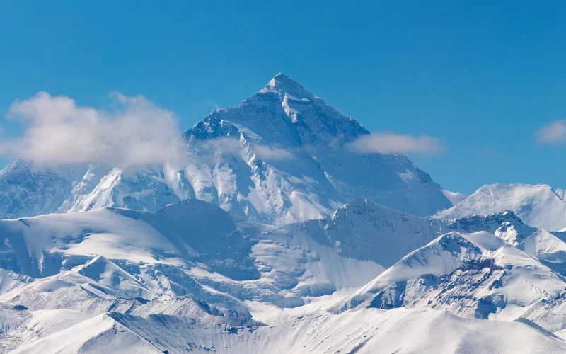 The Future of Hitlmila: Trends and Predictions for the Coming Years